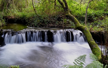 Muíño na Freixeira, Cachafeiro